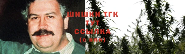2c-b Каменка